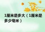 1厘米是多大（1厘米是多少毫米）