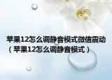 苹果12怎么调静音模式微信震动（苹果12怎么调静音模式）