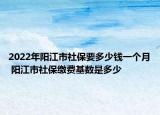 2022年阳江市社保要多少钱一个月 阳江市社保缴费基数是多少