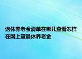 退休养老金清单在哪儿查看怎样在网上查退休养老金