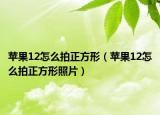 苹果12怎么拍正方形（苹果12怎么拍正方形照片）