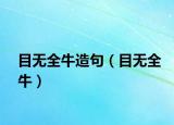 目无全牛造句（目无全牛）