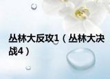 丛林大反攻1（丛林大决战4）