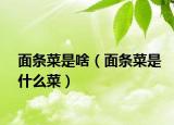 面条菜是啥（面条菜是什么菜）