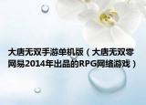 大唐无双手游单机版（大唐无双零 网易2014年出品的RPG网络游戏）