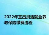 2022年宜昌灵活就业养老保险缴费流程