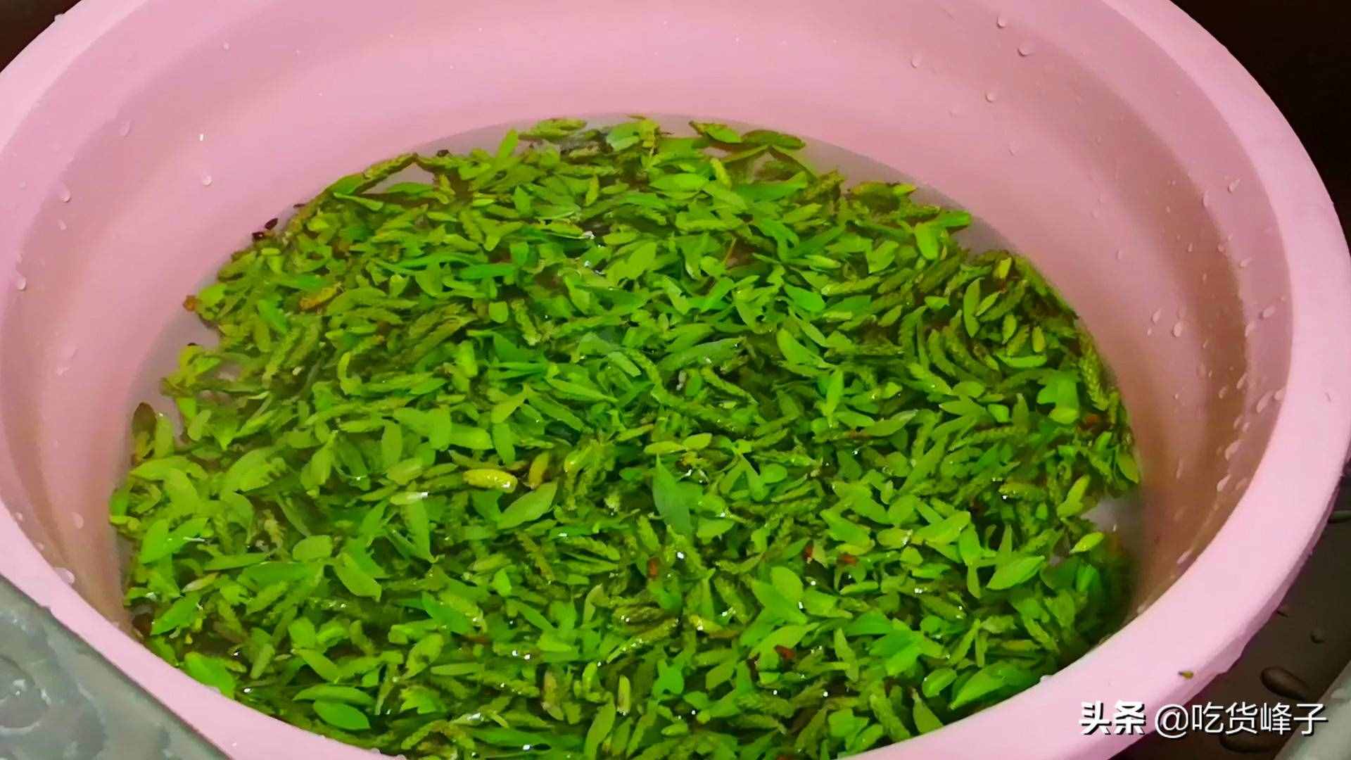 老家带来的野菜，城里有钱买不到，网友：好多年没吃了，眼馋