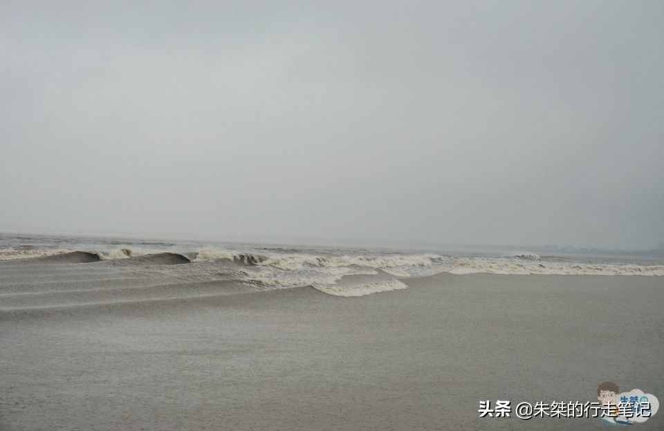 浙江最无奈的景区，明明一年四季都有天下奇观，游客却只记住一天