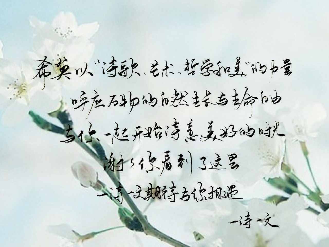 这个世界车水马龙 我只对你情有独钟