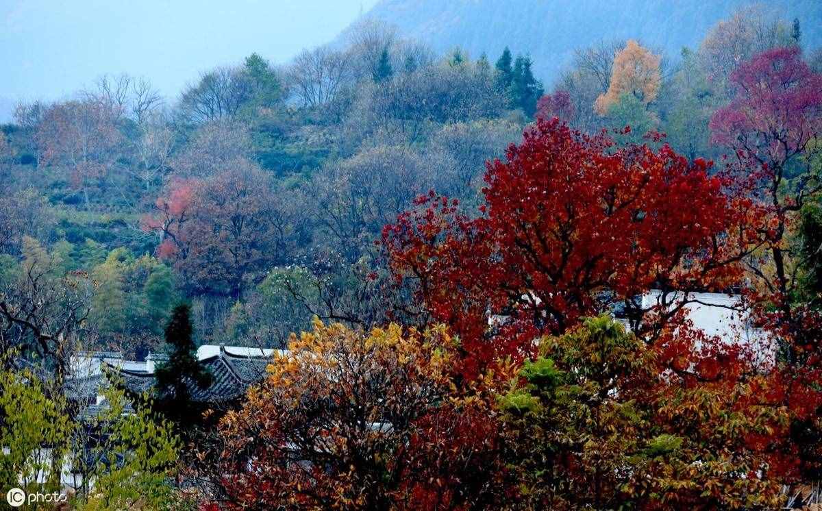 散文《炊烟里的温暖》，亲情温馨，母爱深深，十分感人