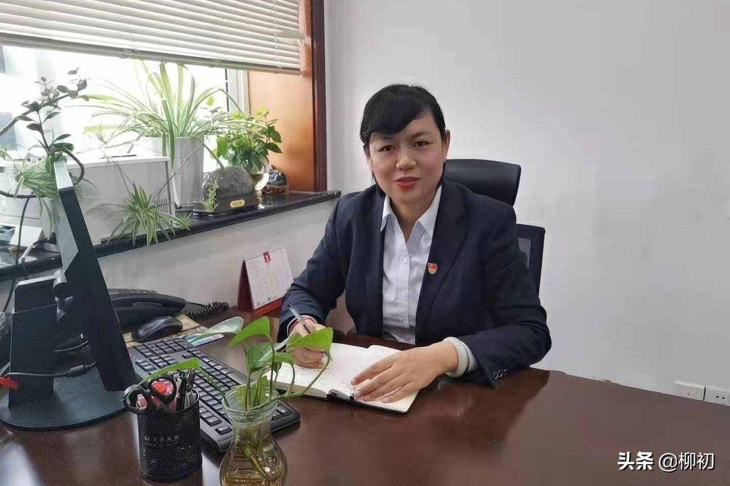 光彩夺目的“四朵金花”