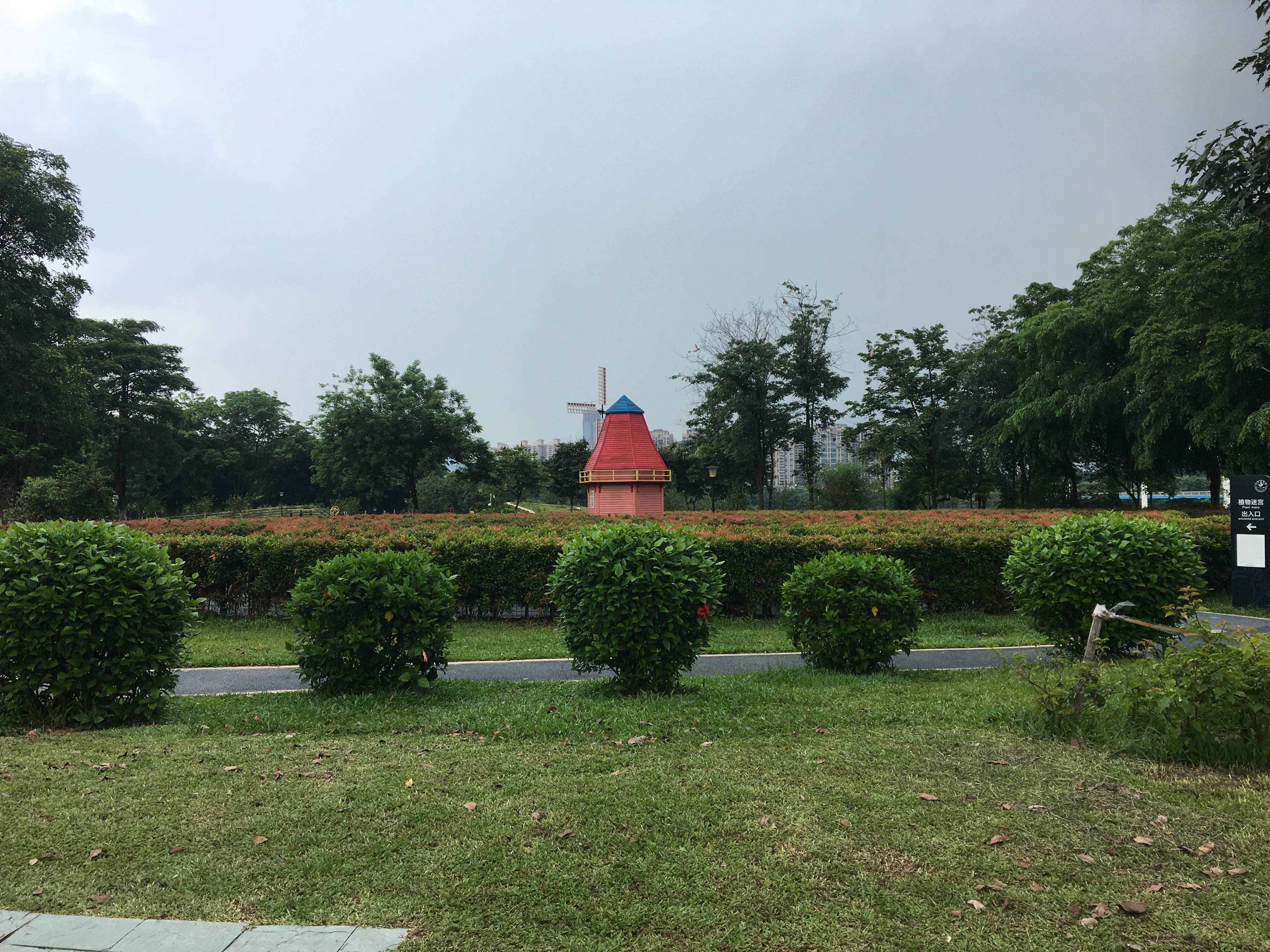 东莞免费开放的植物园，来看看景色到底有多美