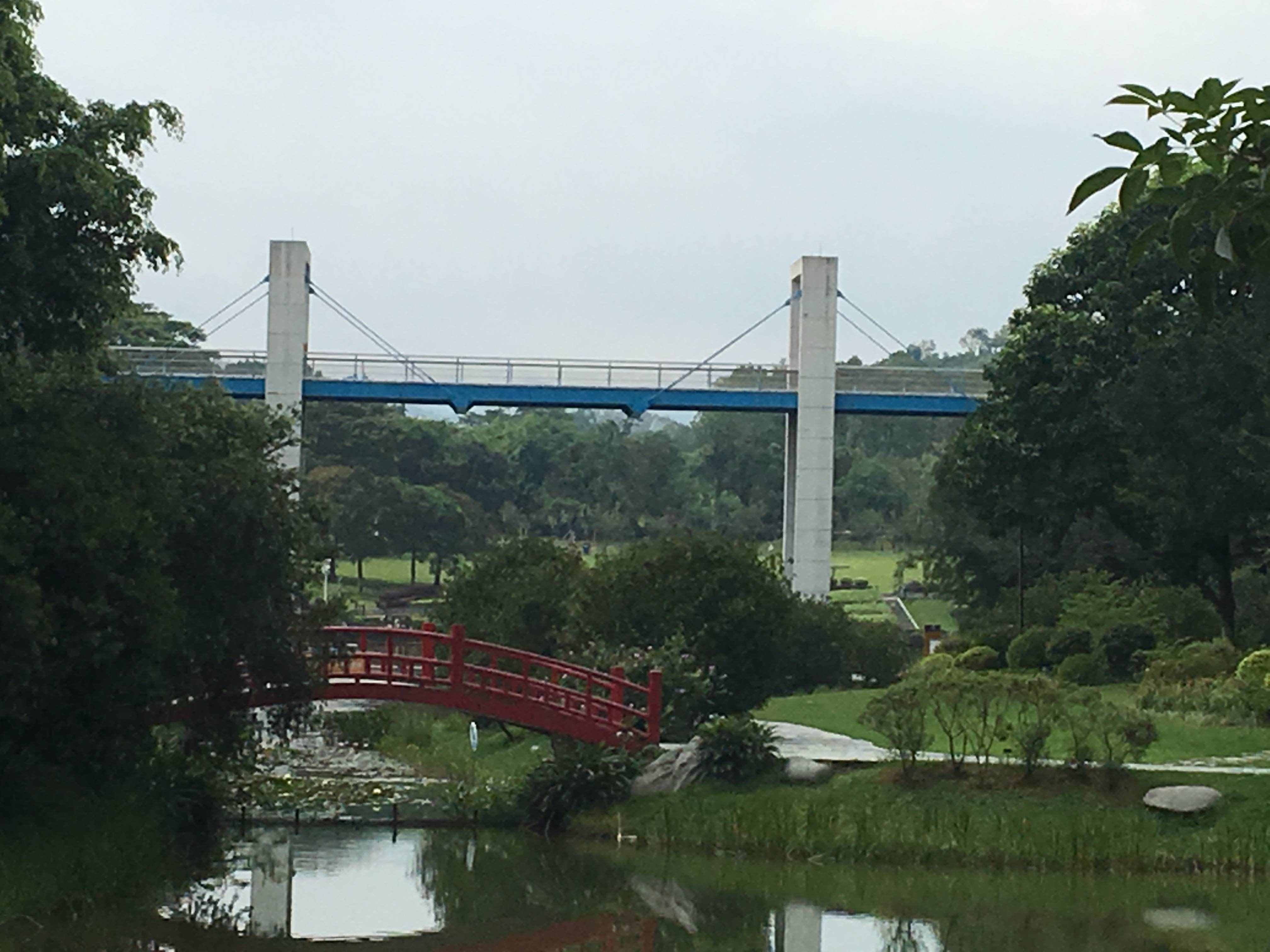 东莞免费开放的植物园，来看看景色到底有多美