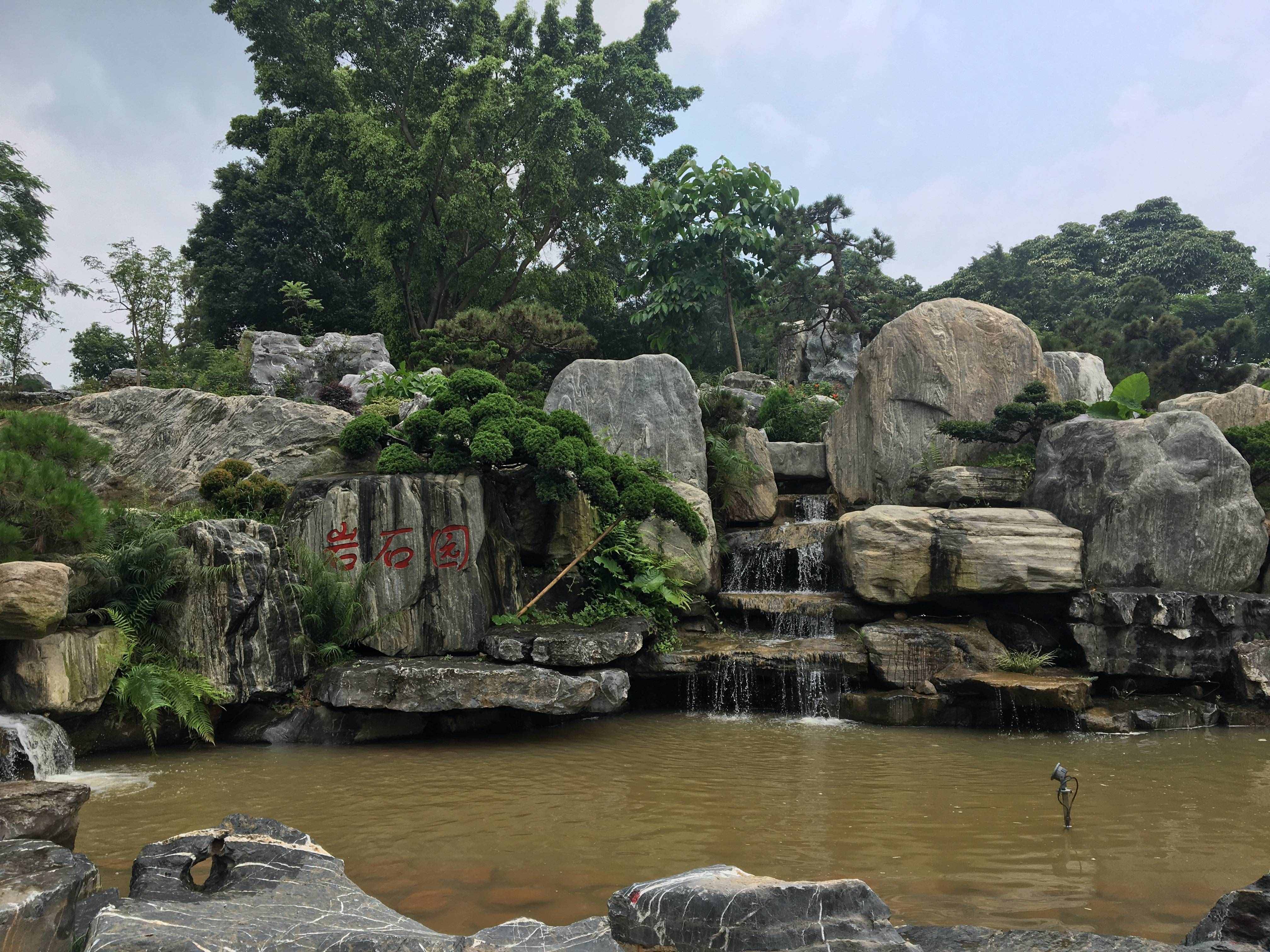 东莞免费开放的植物园，来看看景色到底有多美
