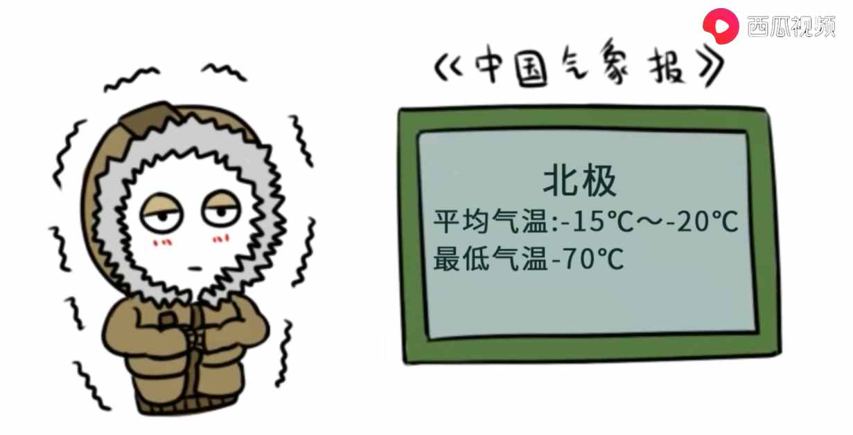 北极熊为什么不吃企鹅宝宝呢？北极熊到南极的后果西瓜视频告诉你