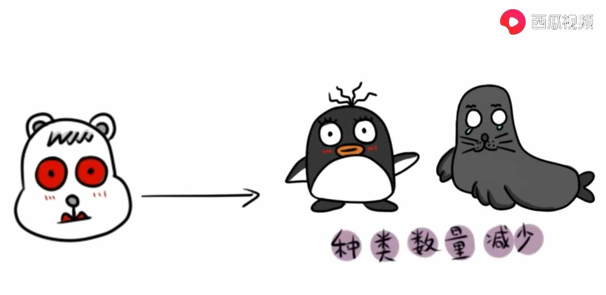 北极熊为什么不吃企鹅宝宝呢？北极熊到南极的后果西瓜视频告诉你