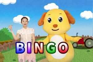 bingo是什么意思中文(bingo有几种意思)