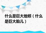 什么是巨大地蚓（什么是巨大胎儿）