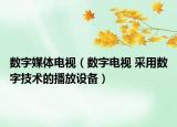 数字媒体电视（数字电视 采用数字技术的播放设备）