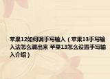 苹果12如何调手写输入（苹果13手写输入法怎么调出来 苹果13怎么设置手写输入介绍）