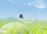 孔