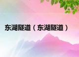 东湖隧道（东湖隧道）