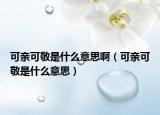 可亲可敬是什么意思啊（可亲可敬是什么意思）