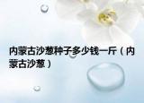 内蒙古沙葱种子多少钱一斤（内蒙古沙葱）