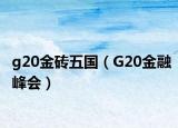 g20金砖五国（G20金融峰会）