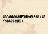 武穴市城东新区新政府大楼（武穴市城东新区）