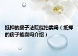 抵押的房子法院能拍卖吗（抵押的房子能卖吗介绍）