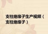支柱绝缘子生产视频（支柱绝缘子）