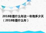 2018年是什么年这一年有多少天（2018年是什么年）
