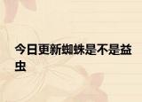 今日更新蜘蛛是不是益虫