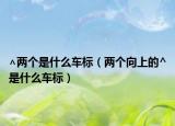 ∧两个是什么车标（两个向上的^是什么车标）