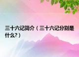 三十六记简介（三十六记分别是什么?）