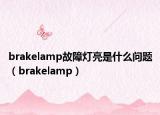 brakelamp故障灯亮是什么问题（brakelamp）