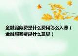 金融服务费是什么费用怎么入账（金融服务费是什么意思）