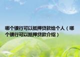 哪个银行可以抵押贷款给个人（哪个银行可以抵押贷款介绍）