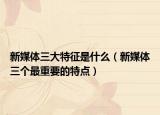新媒体三大特征是什么（新媒体三个最重要的特点）