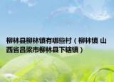 柳林县柳林镇有哪些村（柳林镇 山西省吕梁市柳林县下辖镇）