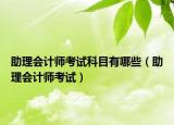 助理会计师考试科目有哪些（助理会计师考试）