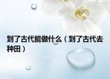 到了古代能做什么（到了古代去种田）