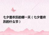 七夕是农历的哪一天（七夕是农历的什么节）