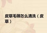 皮草毛领怎么清洗（皮草）