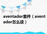 aventador套件（aventador怎么读）