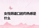 女性阴道口的灼热感是什么