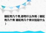 骆驼有几个胃,都有什么作用（骆驼有几个胃 骆驼有几个胃分别是什么）