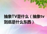 抽象TV是什么（抽象tv到底是什么东西）