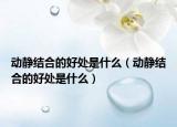 动静结合的好处是什么（动静结合的好处是什么）